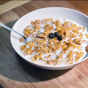 Picture Of Cereal Breakfast In Bowl
